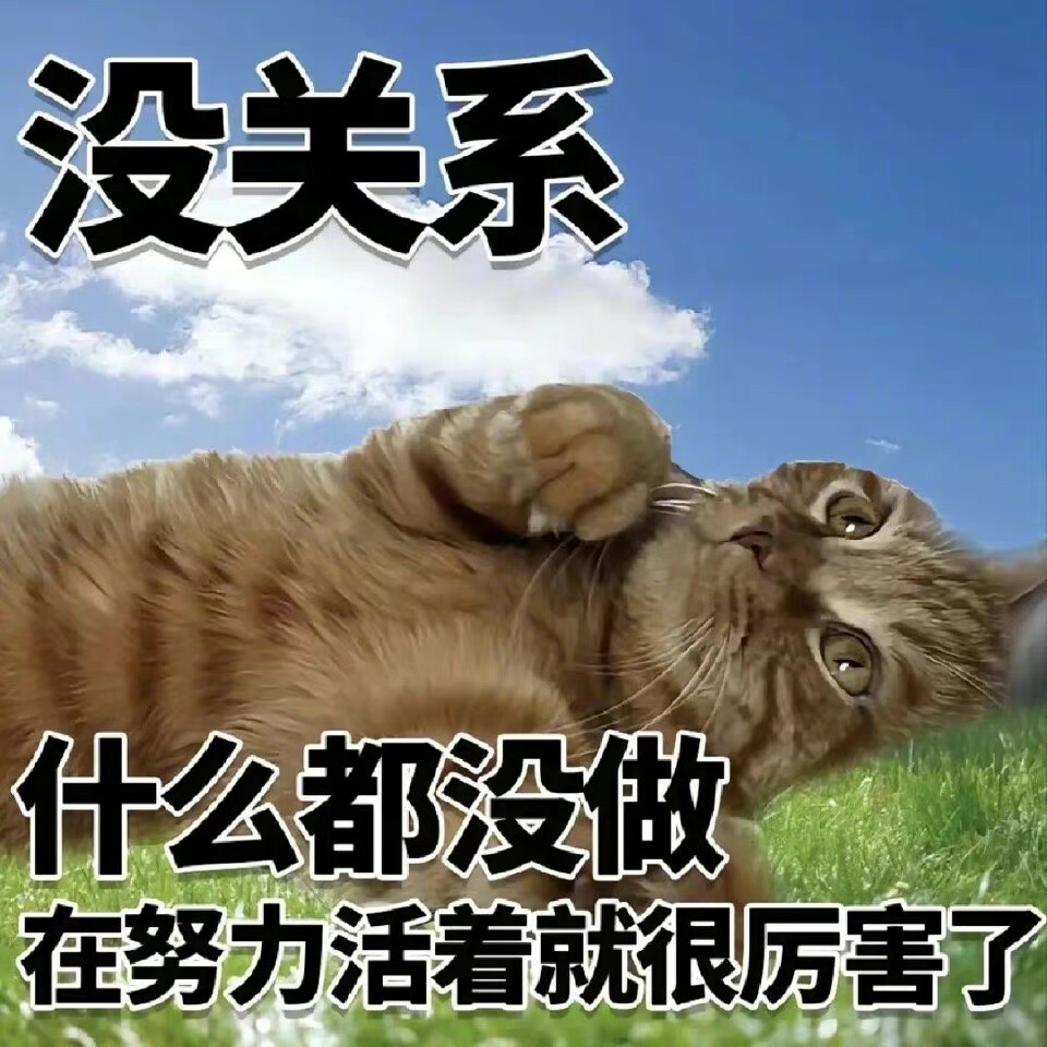 猫咪表情包