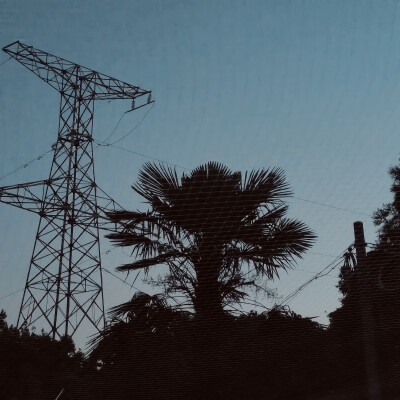 A TrEe
