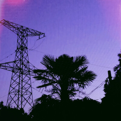 A TrEe