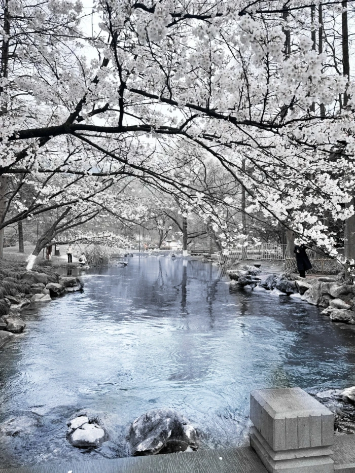 终章:<손편지>*I miss you