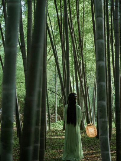 若干年后.山依旧是山.可人.未必还在啊。