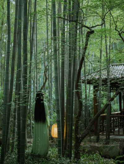 若干年后.山依旧是山.可人.未必还在啊。