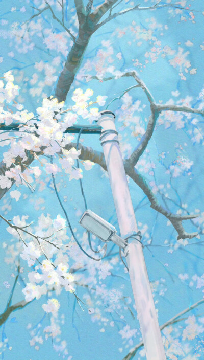 插画