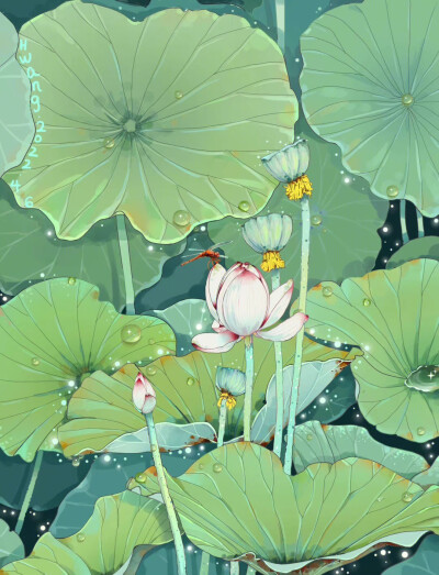 插画