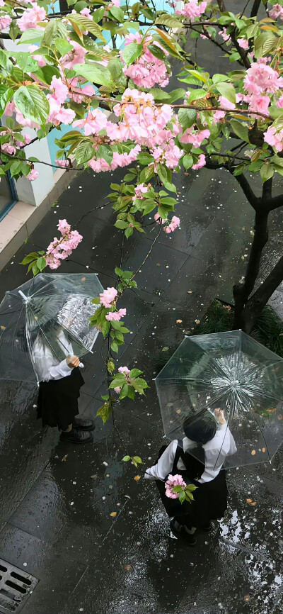 好想过上那种浪费时间也毫无负罪感的生活