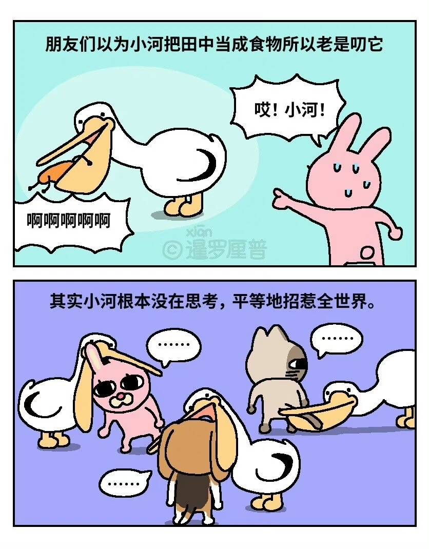 暹罗厘普 - 高清图片，堆糖，美图壁纸兴趣社区