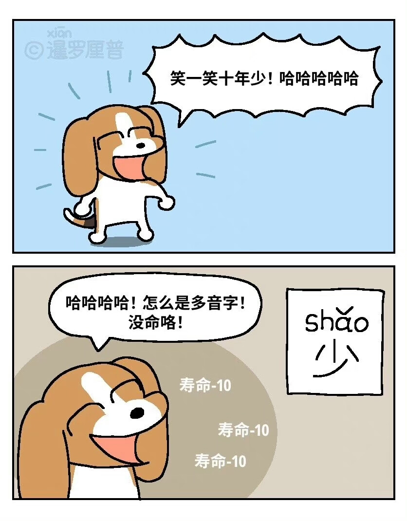 暹罗厘普