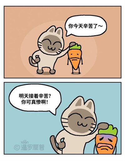 暹罗厘普