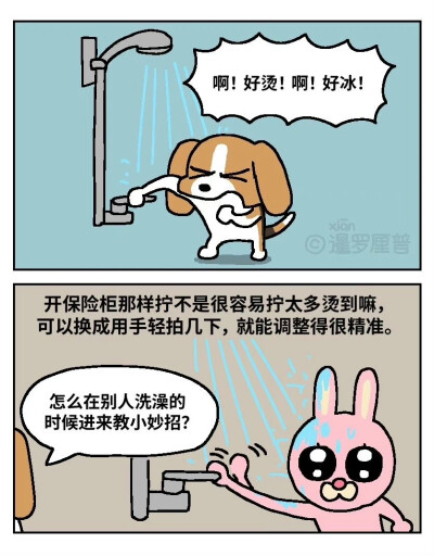 暹罗厘普