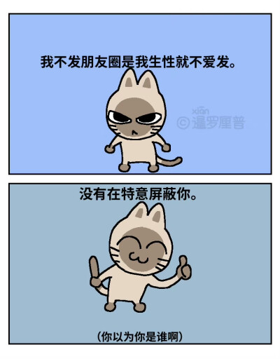 暹罗厘普