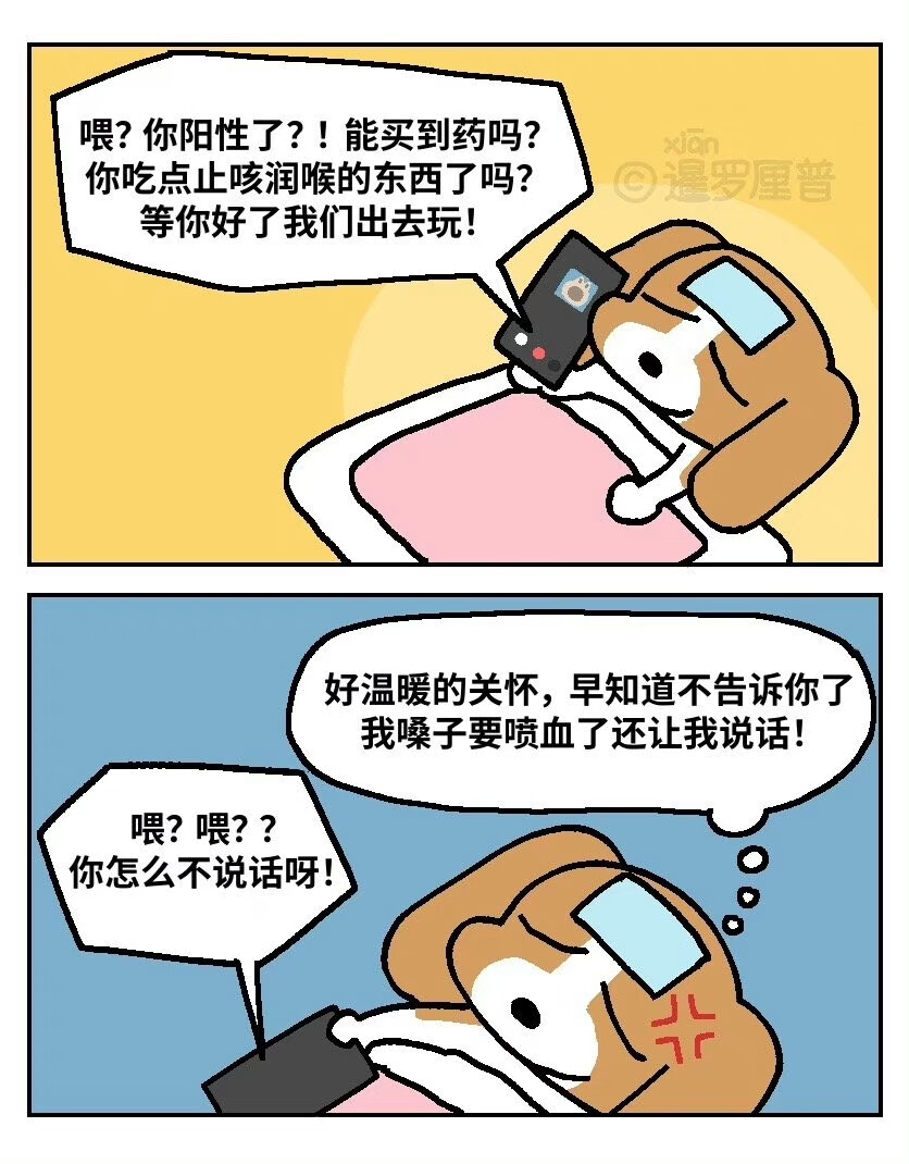 暹罗厘普