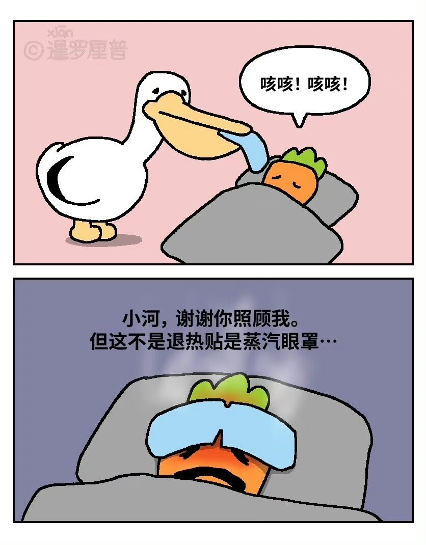 暹罗厘普