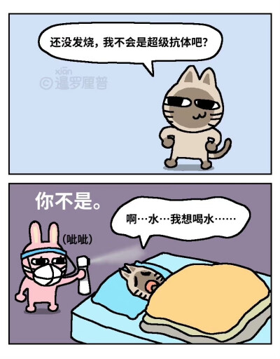 暹罗厘普