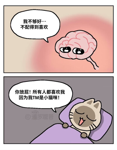 暹罗厘普