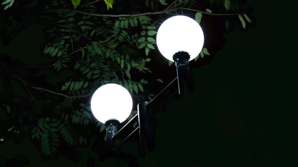 【橙光】背景 真人、猫猫、车灯、食物