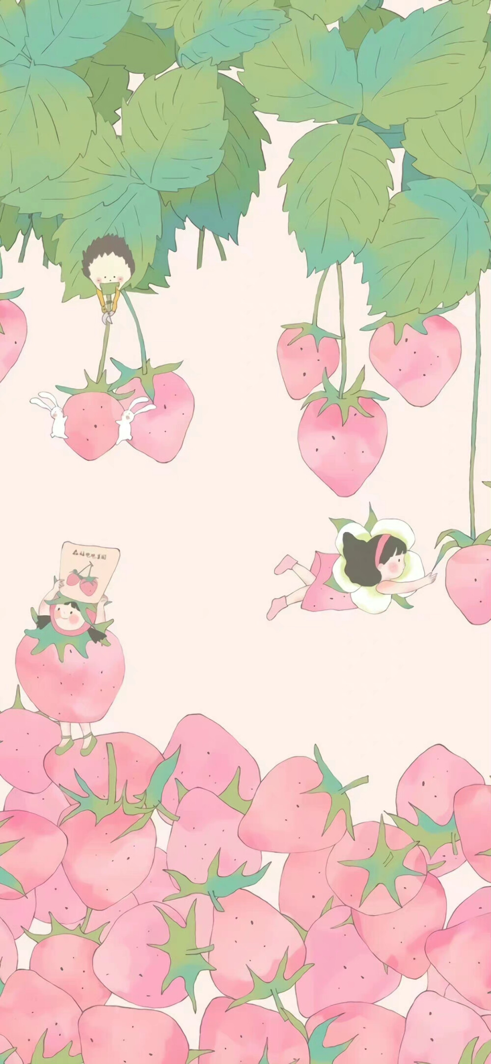 壁纸