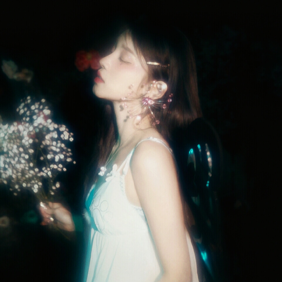 蝴蝶&butterfly