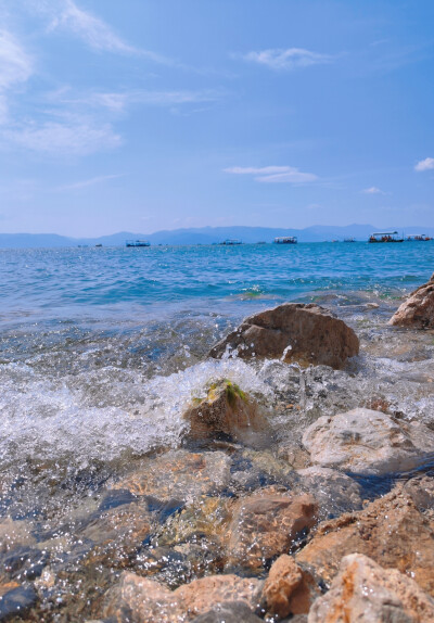 抚仙湖 夏日壁纸