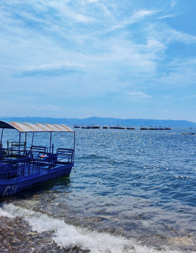 抚仙湖 夏日壁纸