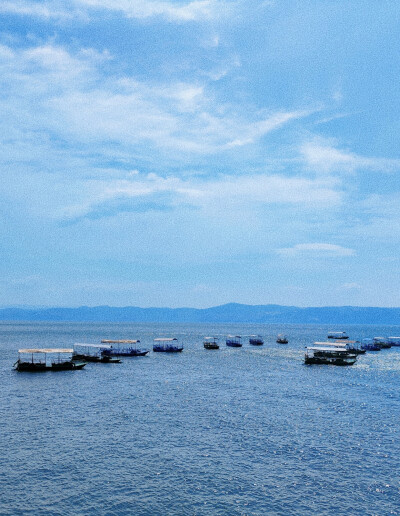 抚仙湖 夏日壁纸