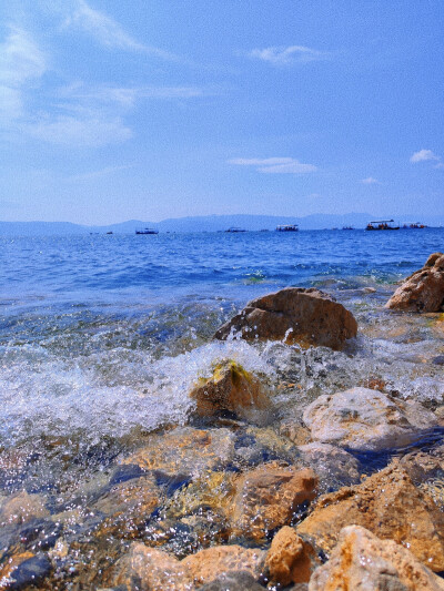 抚仙湖 夏日壁纸