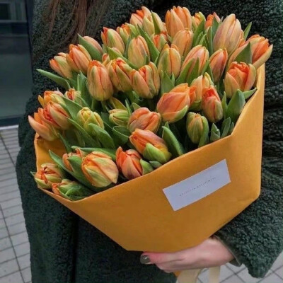 壁纸
街景
头像
背景
美图
漫头
情头
专辑封面
AI风景动漫风景