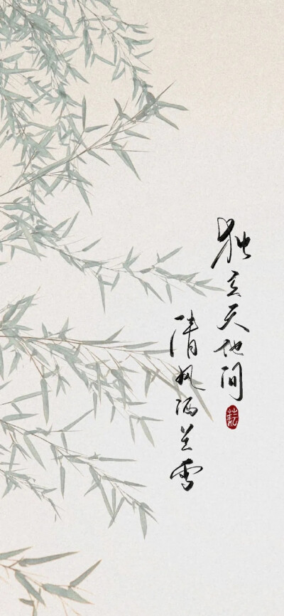 壁纸壁纸