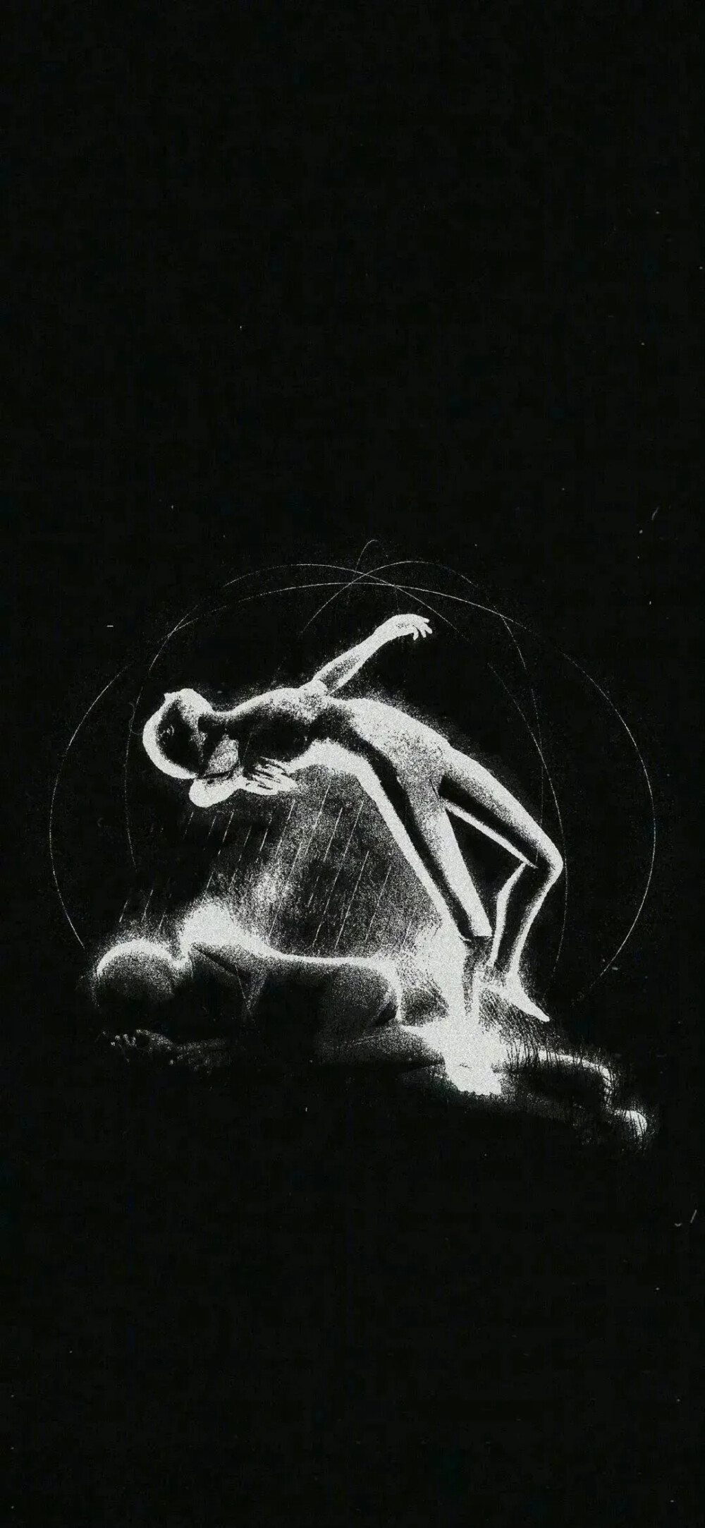 壁纸