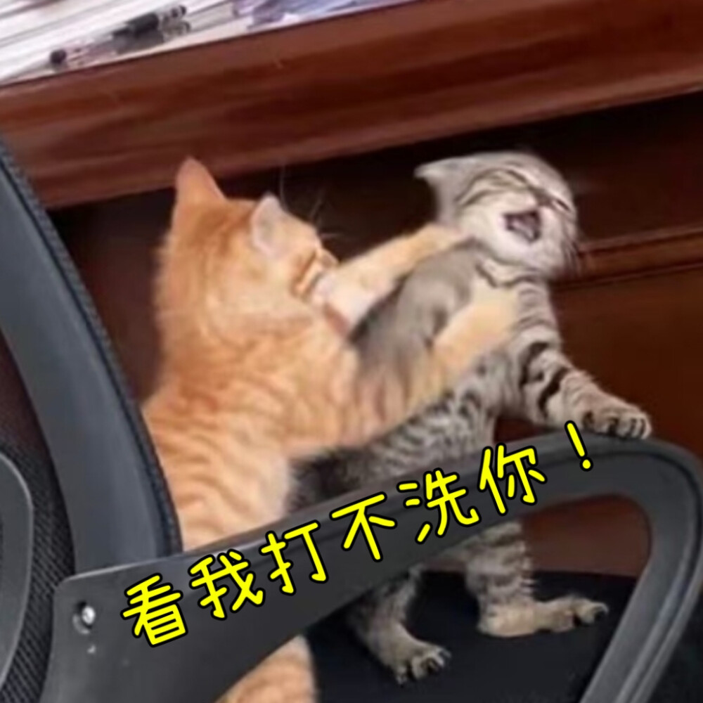 表情