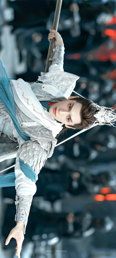 长夜烬明～罗云熙