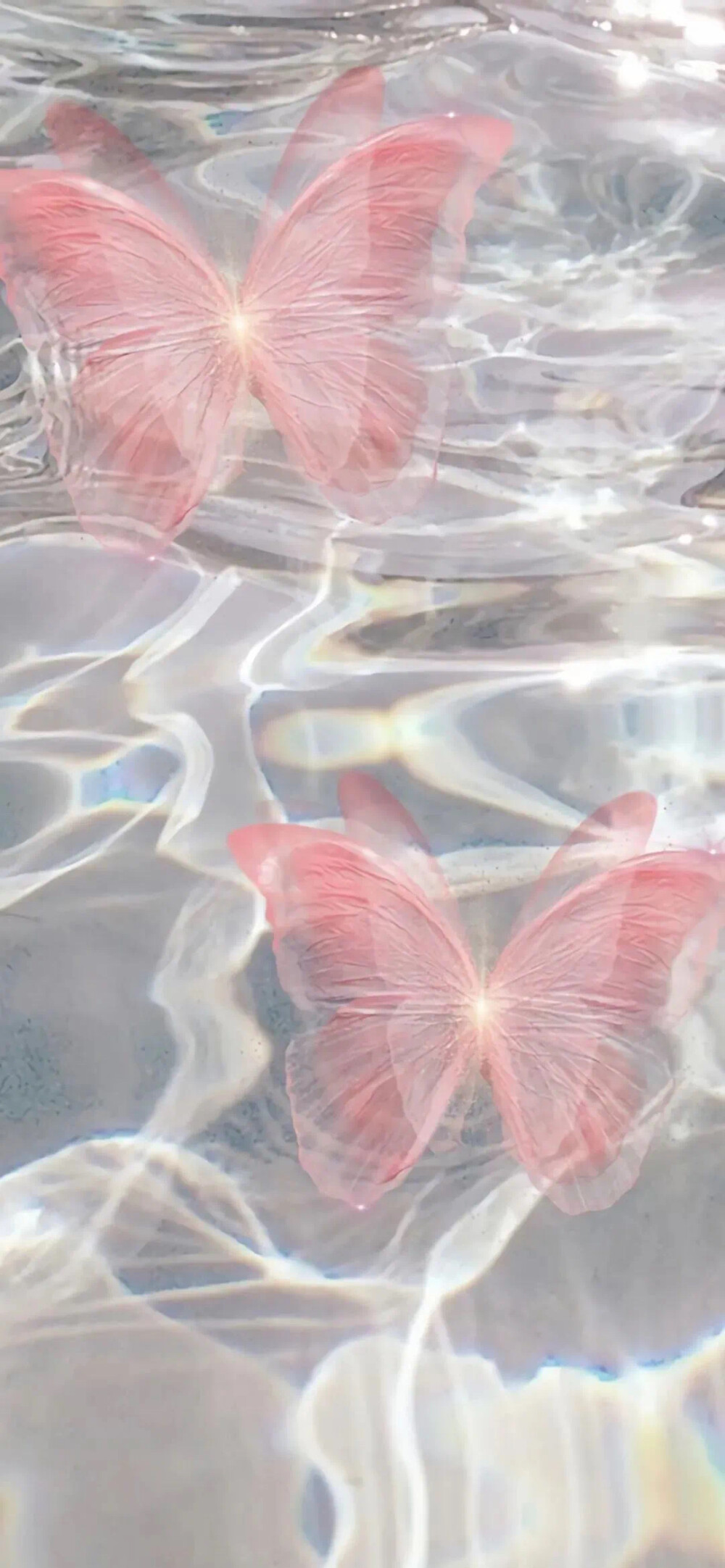 我的爱溢出就像雨水
存图 侵删