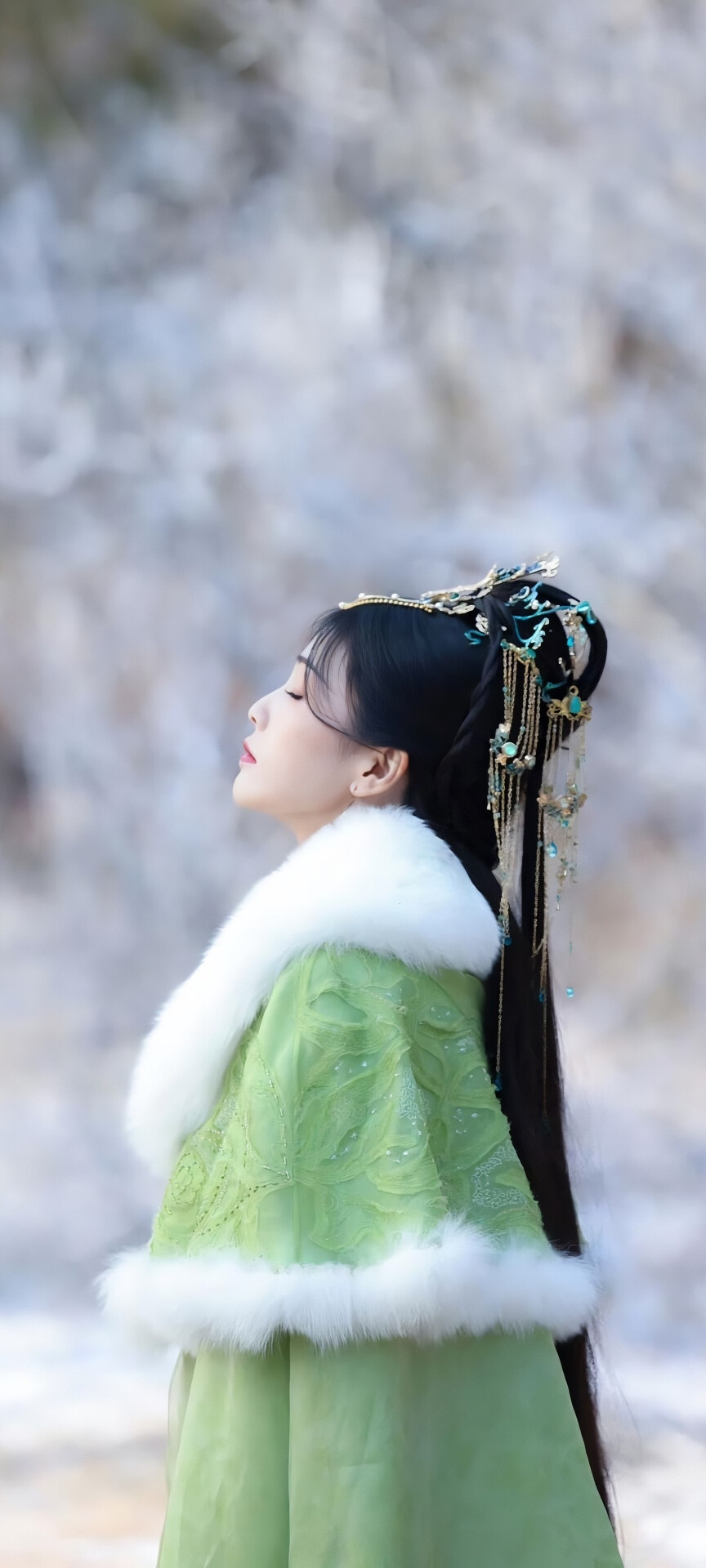 长夜烬明～白鹿