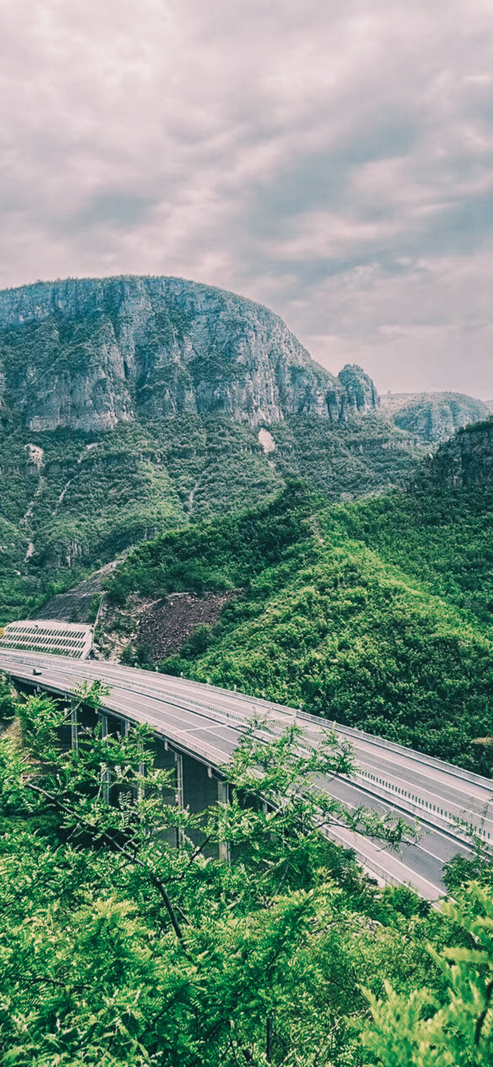 山脉 风景 公路 美图 人物 蒲公英 山野 旅游