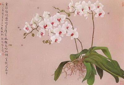 张克齐：生于1950年，中国台湾南投埔里人，优秀艺术家，室名“鸠安居”。