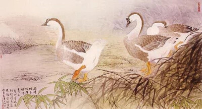 张克齐：生于1950年，中国台湾南投埔里人，优秀艺术家，室名“鸠安居”。