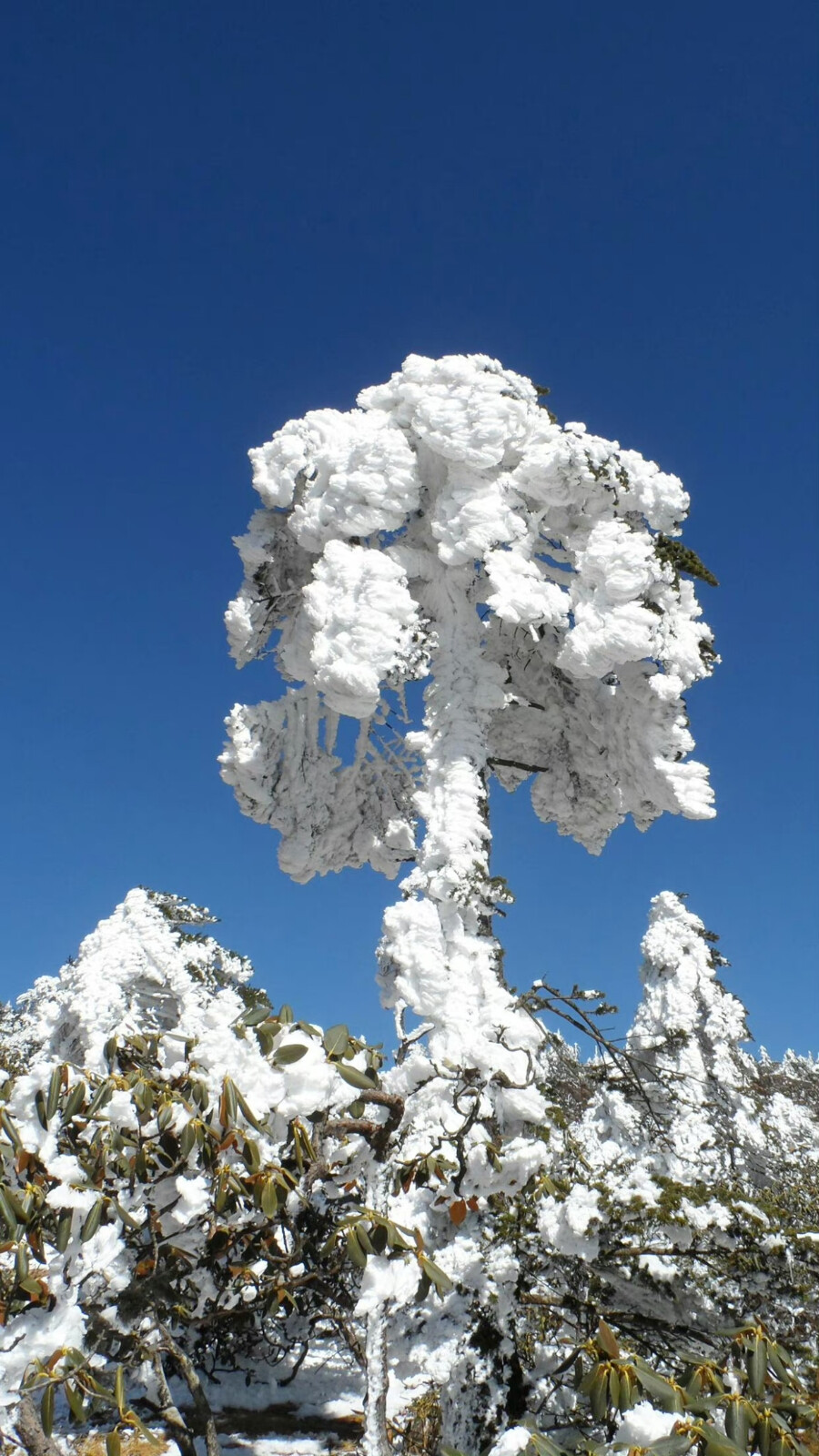 雪山