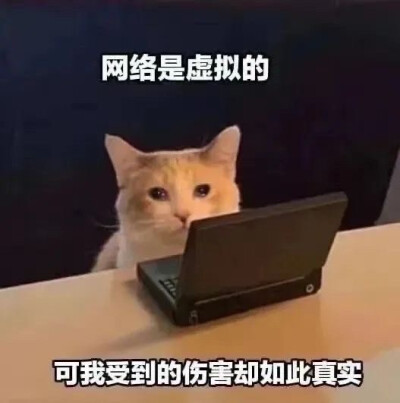 表情包