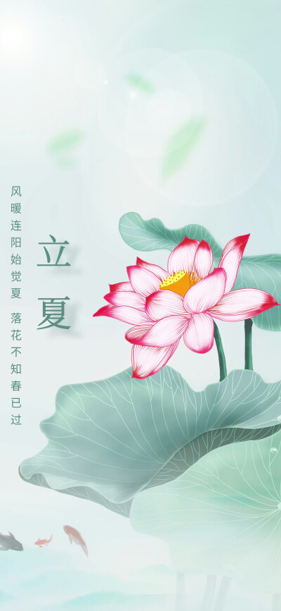 立夏.節(jié)氣
圖片來自網(wǎng)絡(luò)侵刪