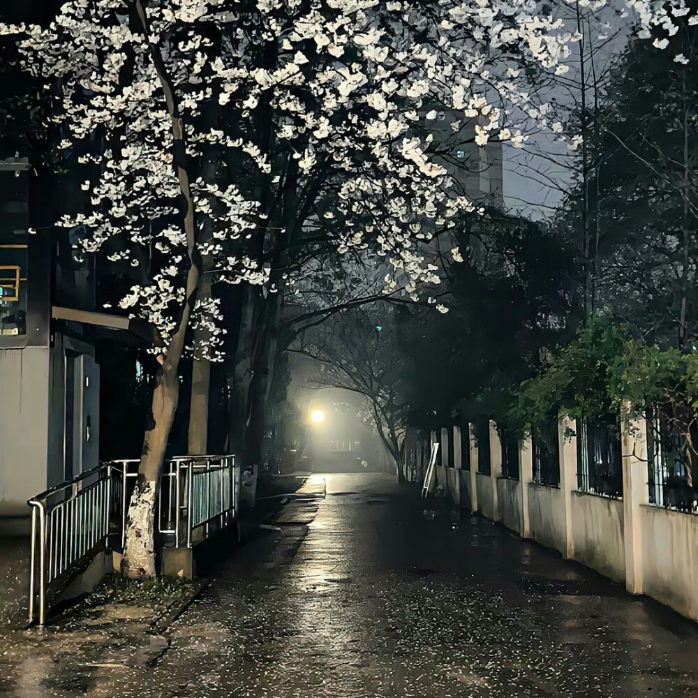 我被高山围绕 山水自然为我祈祷