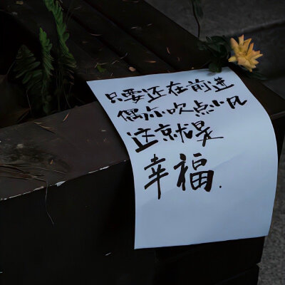 高级感背景图
©wb-木夕木