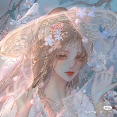 这些都是非常好看的头像，希望你们喜欢喜欢