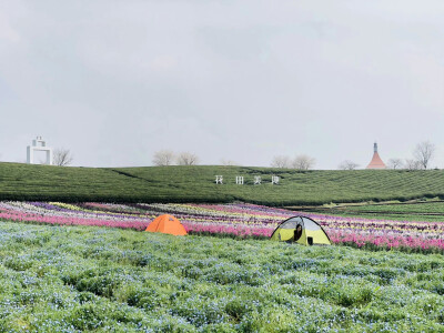 最食人间烟火色
司清&景琛
卢洋洋&陈鑫海
