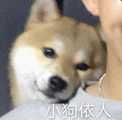 狗∪･ω･∪