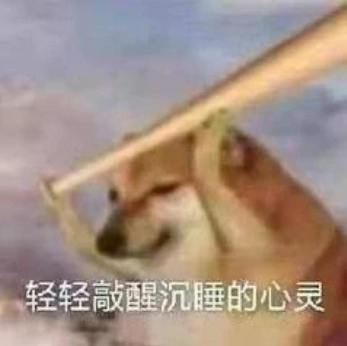 狗∪･ω･∪