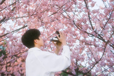 樱花与少年
摄影：@只小鹿
出镜：@折木哒丶 ​