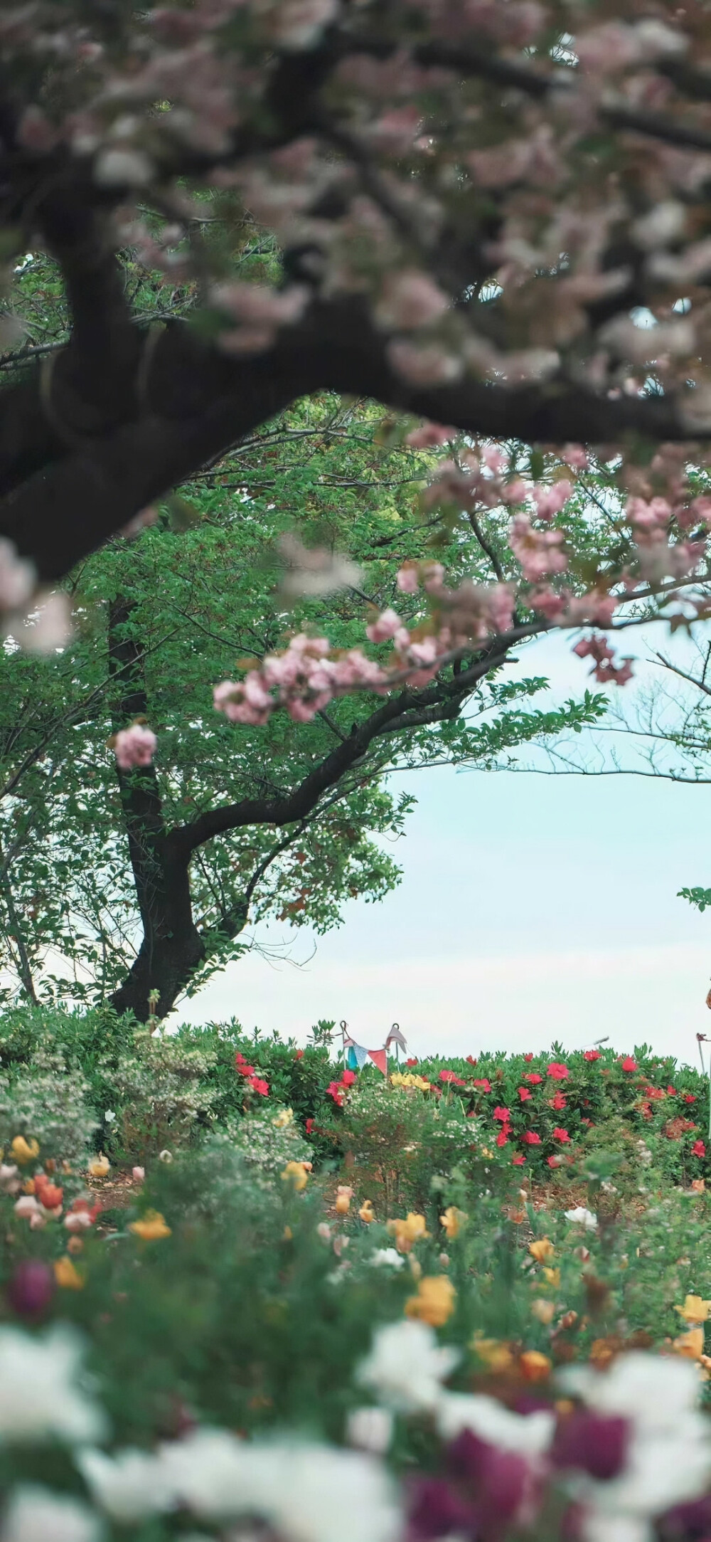 夏日壁纸