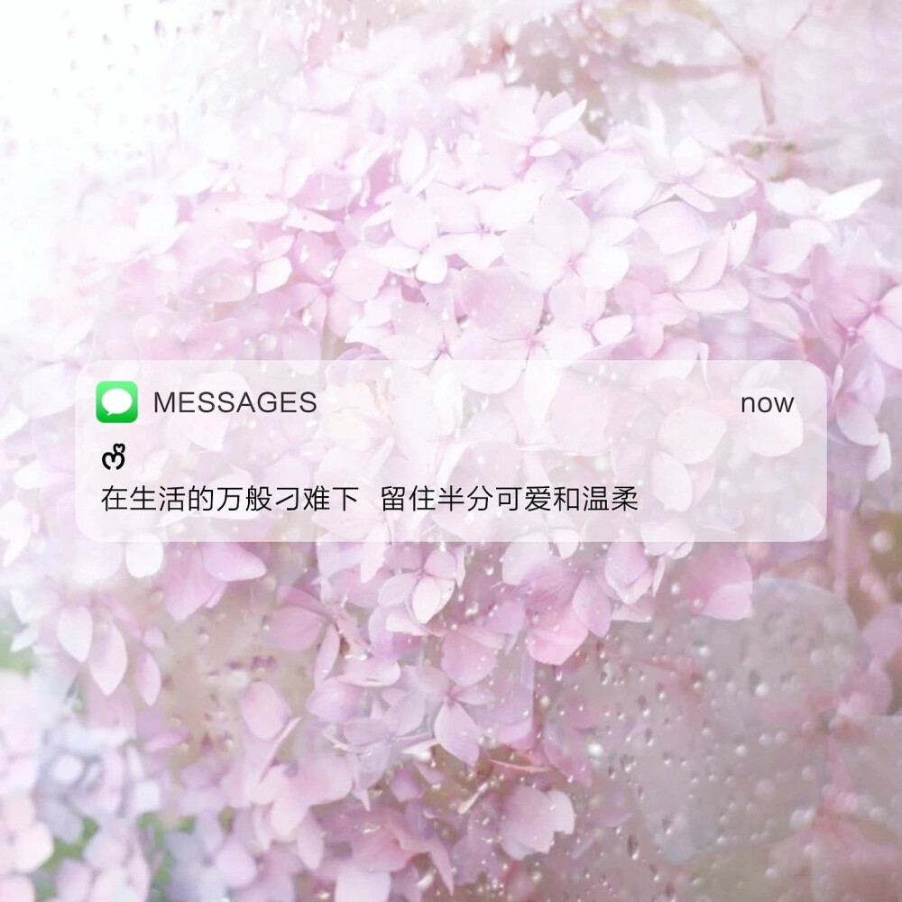 Messages文案 | 朋友圈背景图