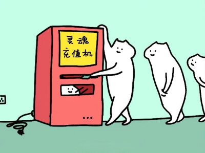 whatccat什么猫—微博转载