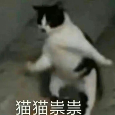 表情包