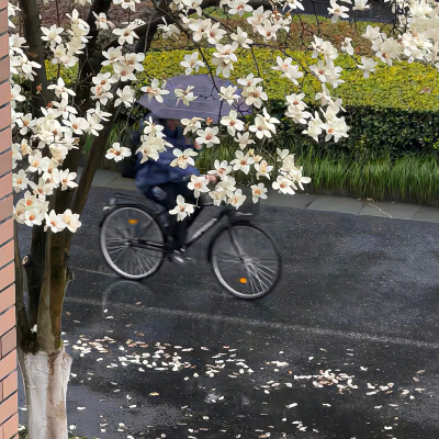 【我爱的背景】